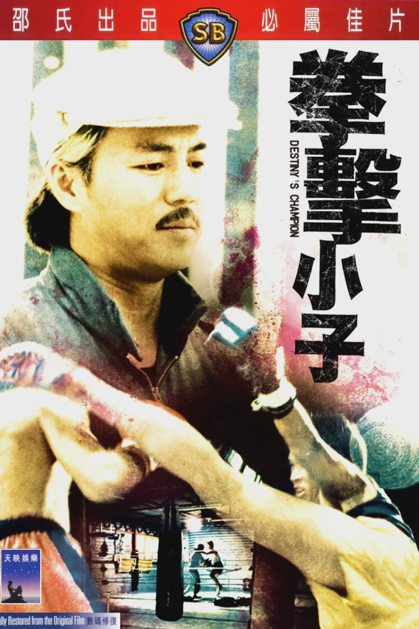 拳击小子