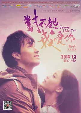 对不起,我爱你2014