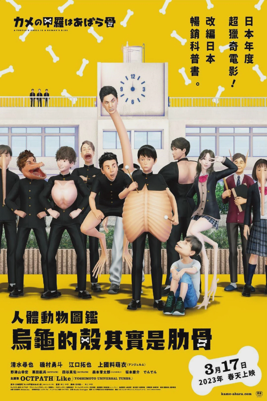 乌龟的壳其实是肋骨