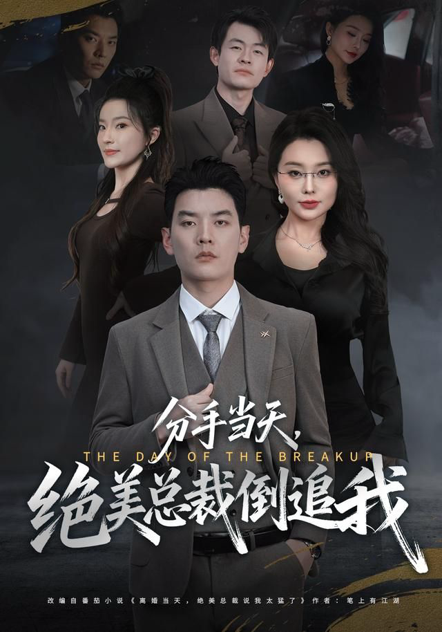 分手当天，绝美总裁倒追我