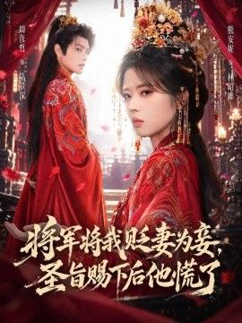 将军将我贬妾为妻,圣旨赐下后他慌了