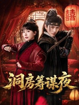 洞房筹谋夜