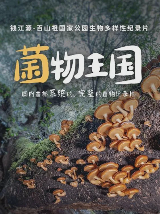 菌物王国