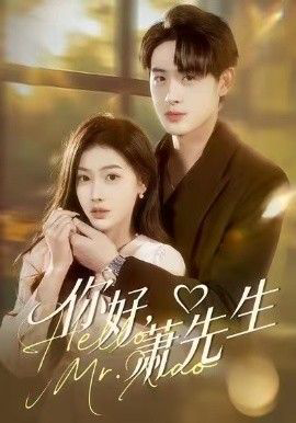 你好，萧先生