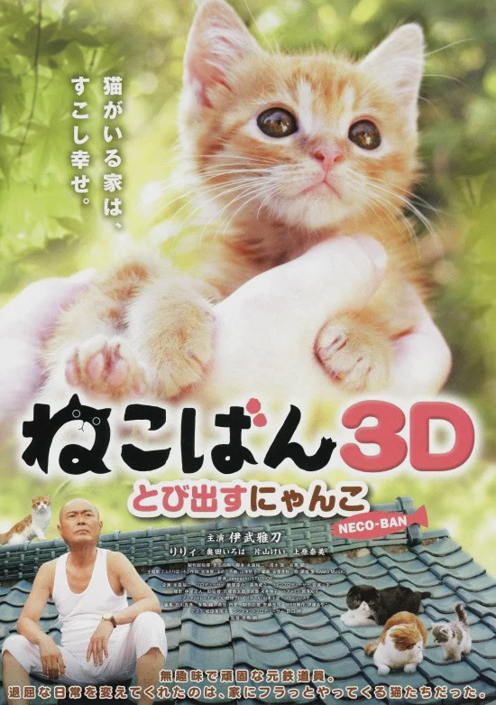 小猫跳出来3D