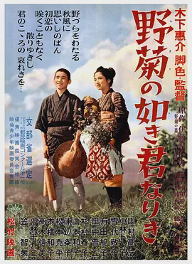野菊之墓1955