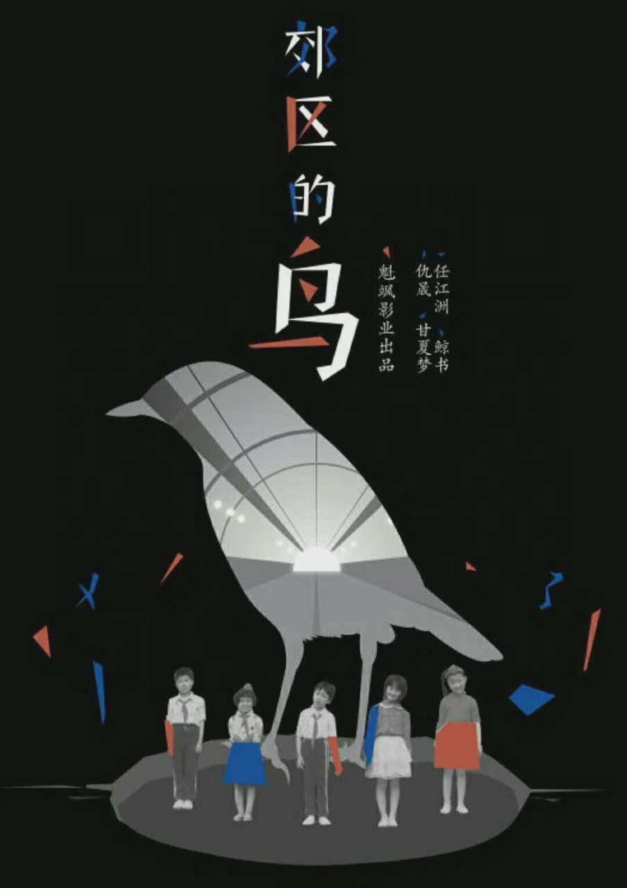 郊区的鸟