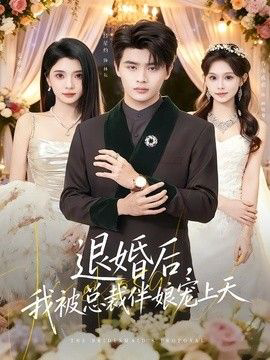 退婚后,我被总裁伴娘宠上天