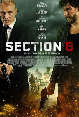 暗影特工Section 8