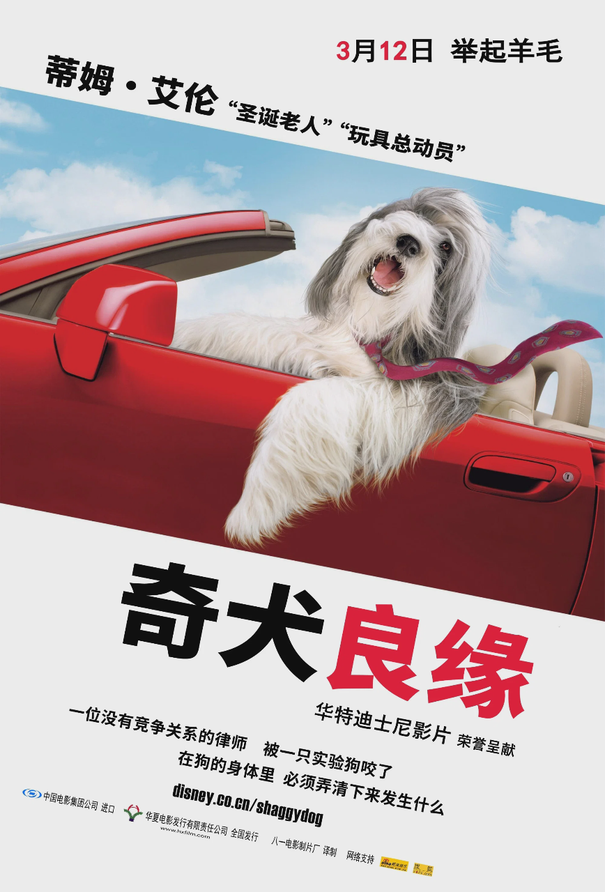 长毛狗