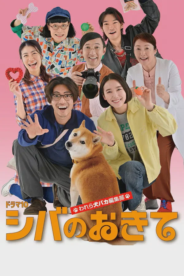 柴犬的规矩~我们这群狗痴编辑部~