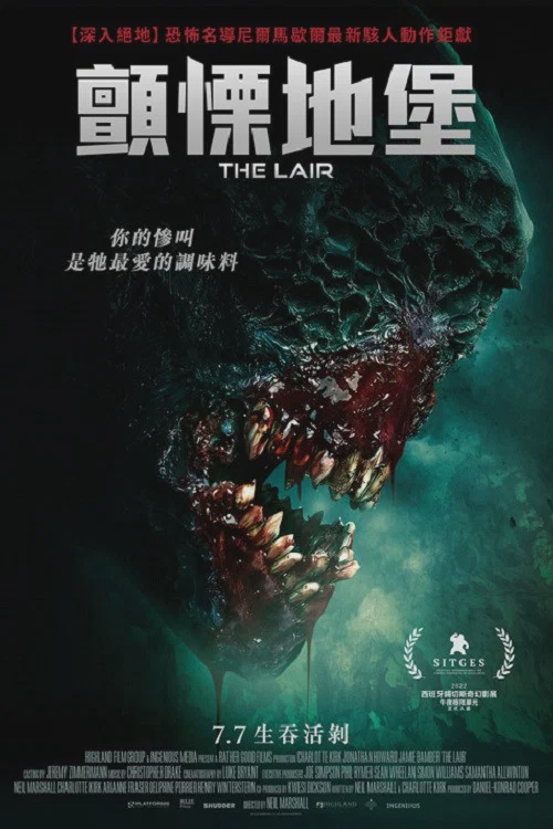 巢穴
