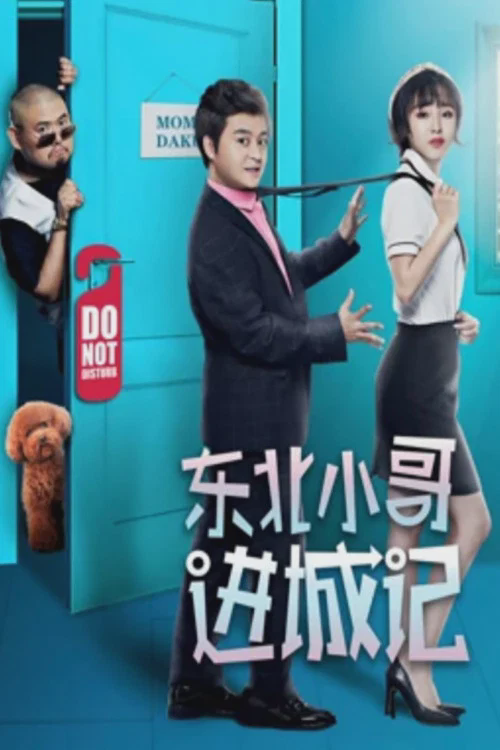 东北小哥进城记