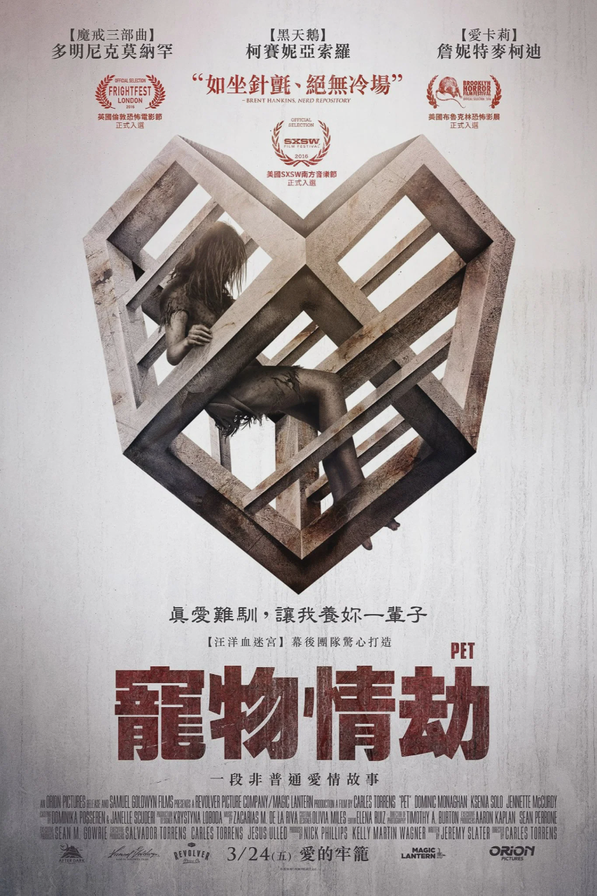 爱宠