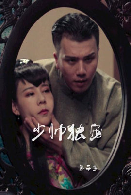 少帅独宠