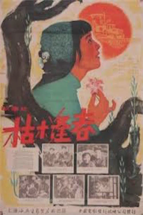 枯木逢春