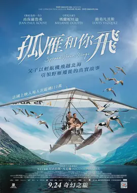 孤雁和你飞