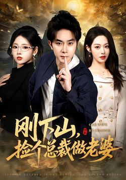 刚下山捡个总裁做老婆
