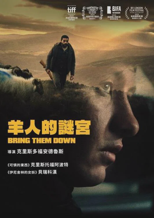 打倒他们