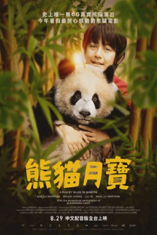 熊猫月亮
