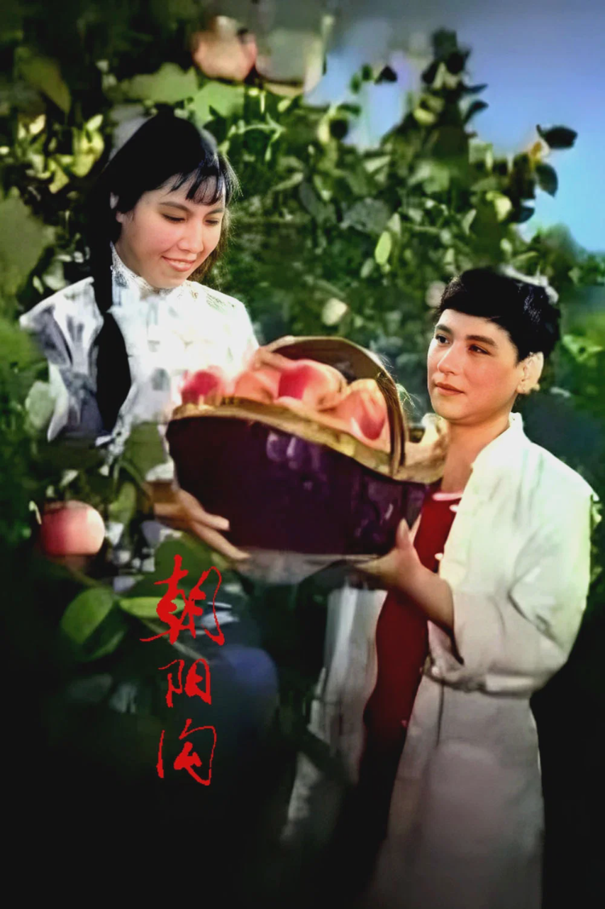 朝阳沟