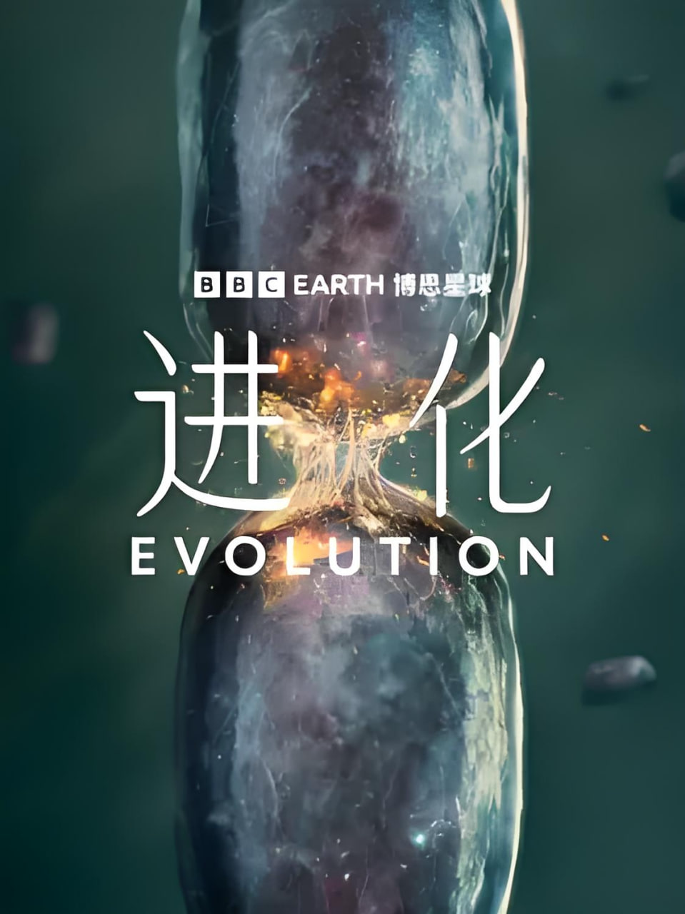 进化(中配版)