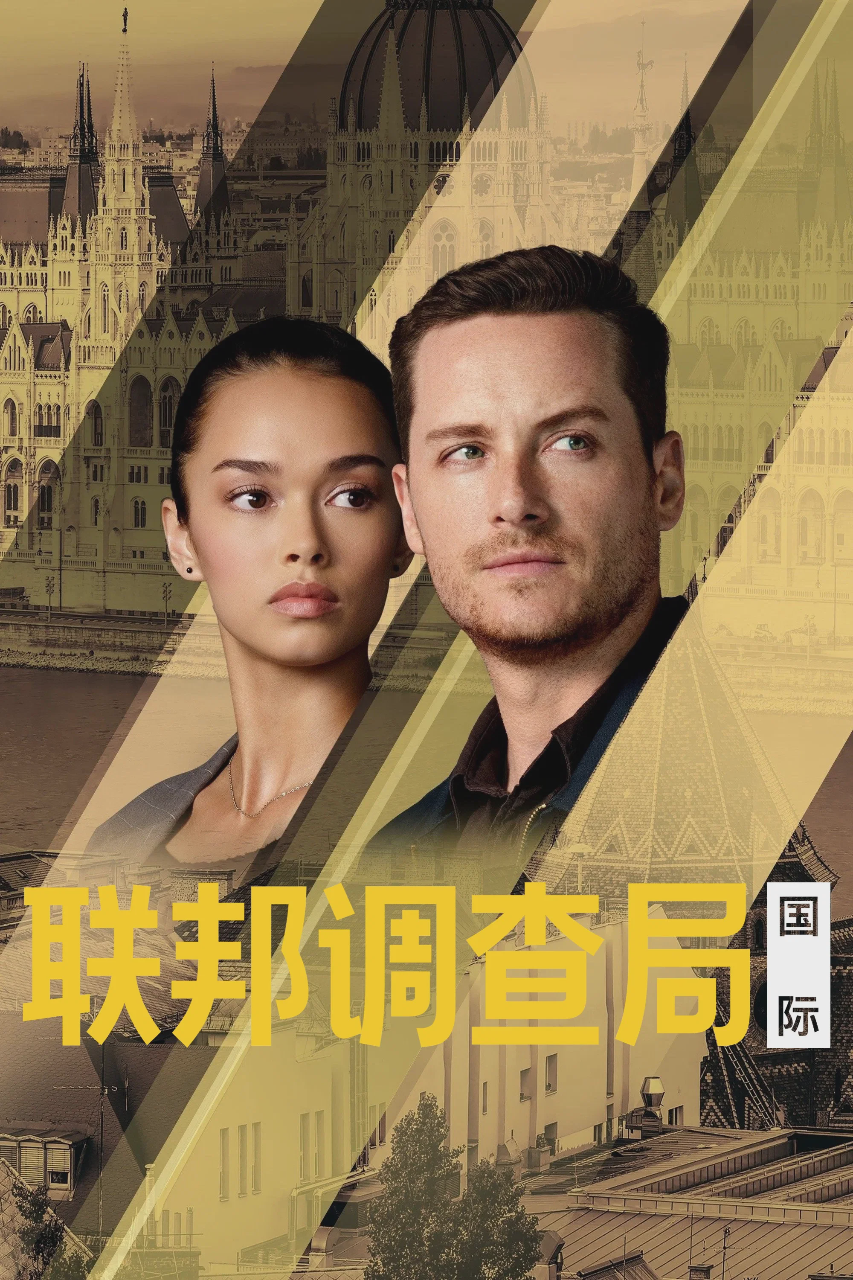 联邦调查局:国际