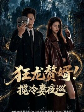 狂龙赘婿!揽冷妻夜巡
