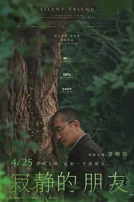 寂静的朋友
