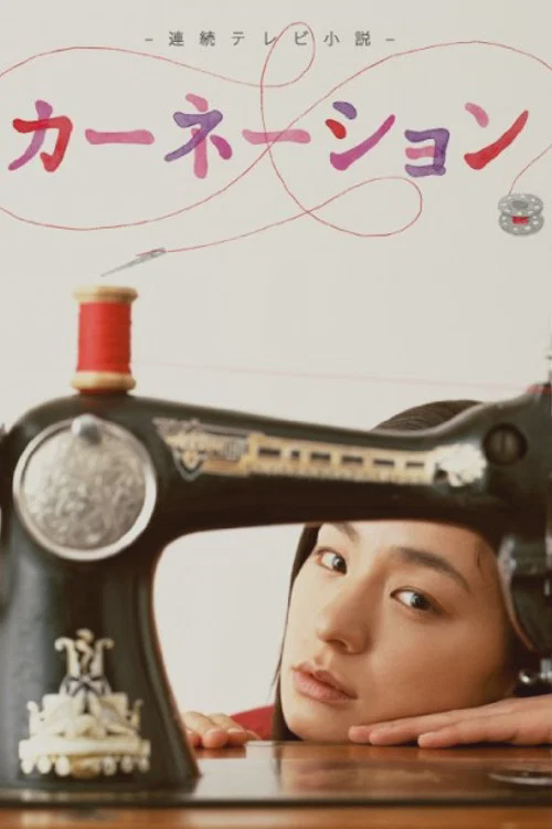 康乃馨