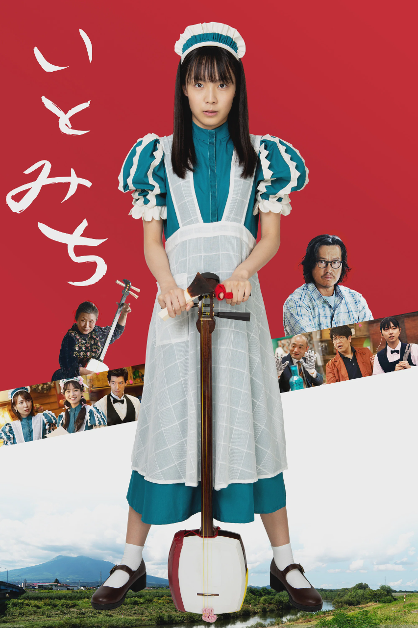 琴茧