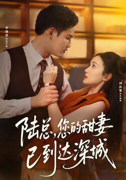 陆总您的甜妻已到达深城