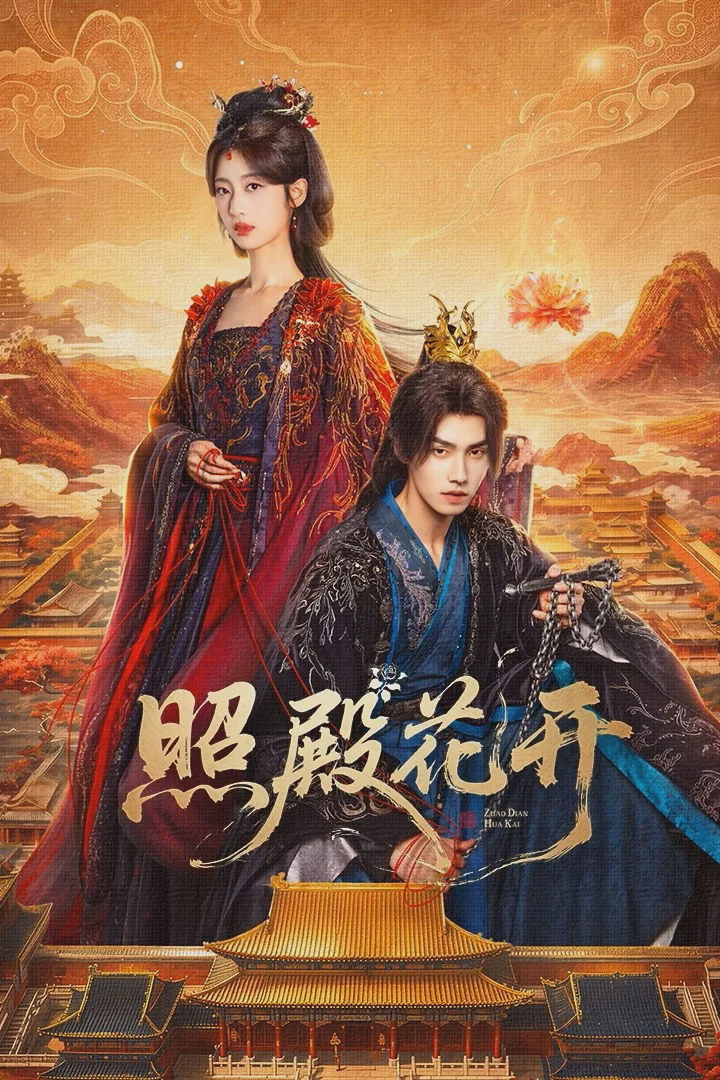 照殿花开