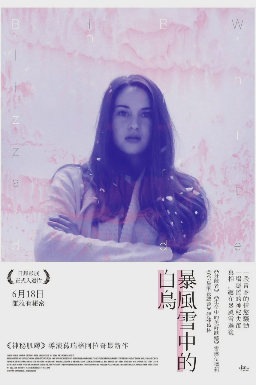 暴风雪中的白鸟