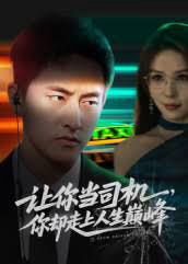 让你当司机,你却走上人生巅峰极品富婆爱上我