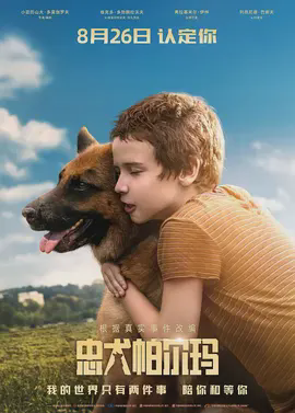 忠犬帕尔马