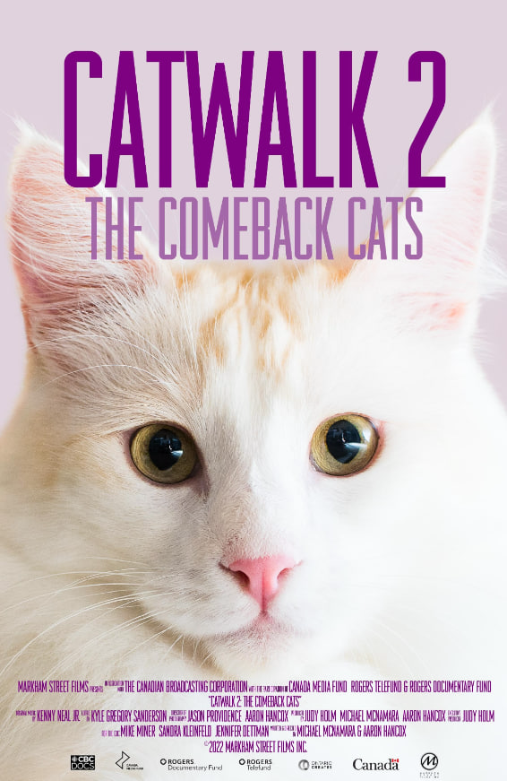 《猫步2：回归的猫》