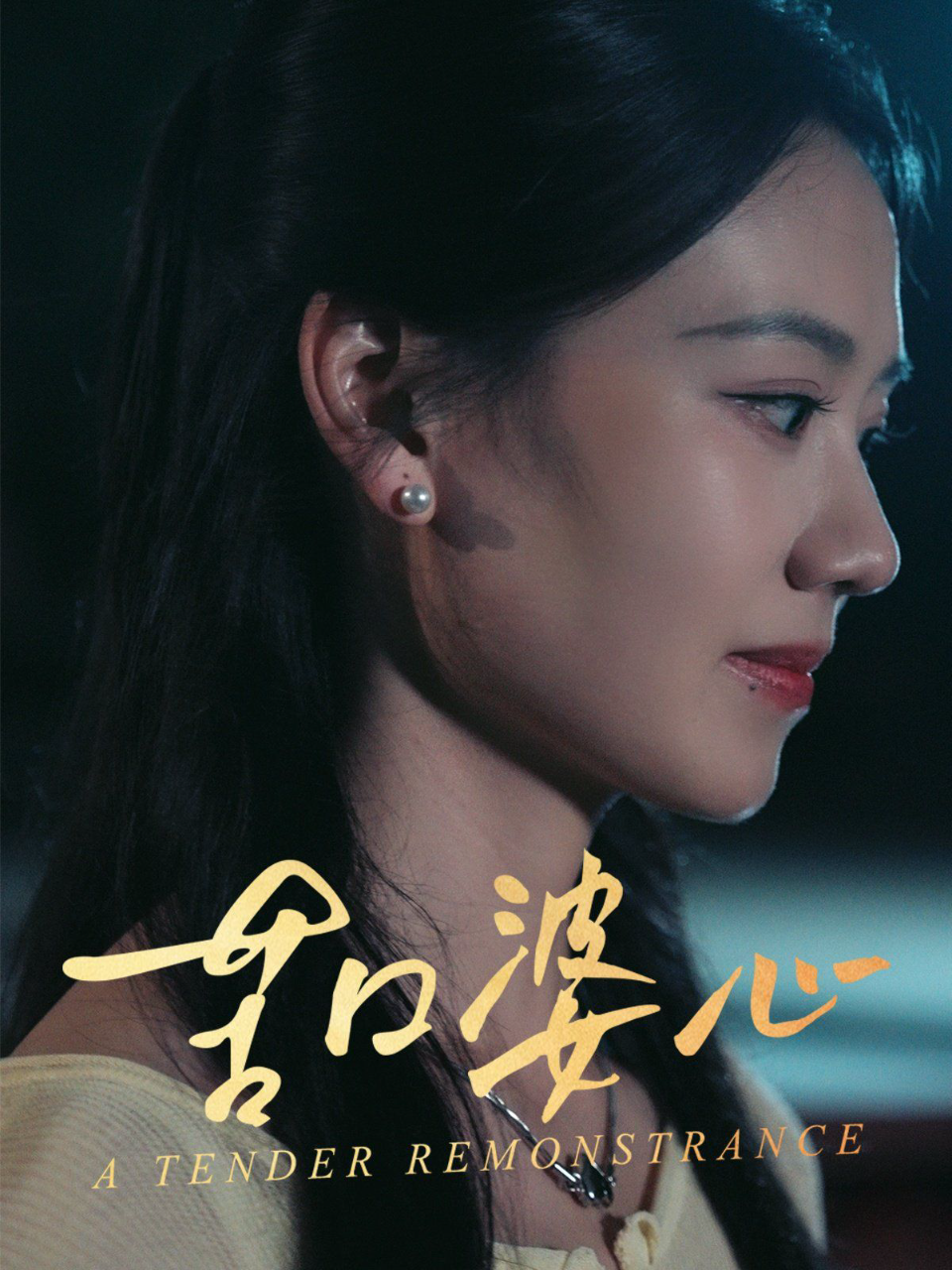 苦口婆心