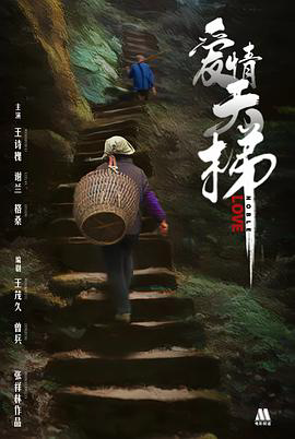 爱情天梯2013