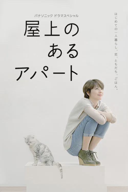屋顶的公寓