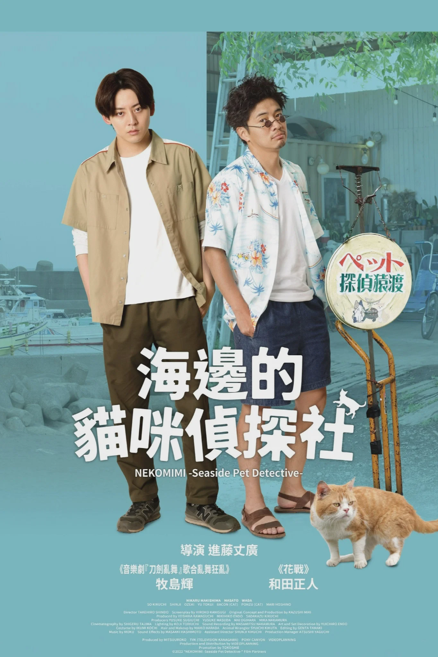 海岸大街上的猫咪侦探