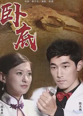 卧底2010