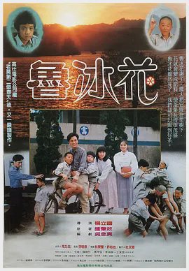 鲁冰花