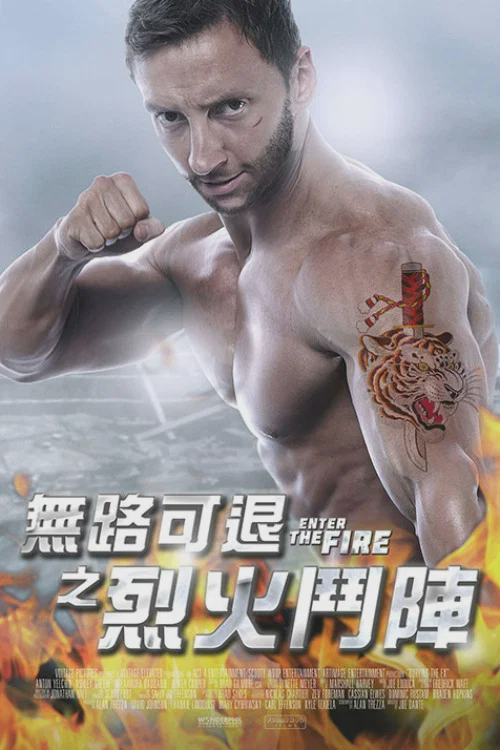 火拳快影