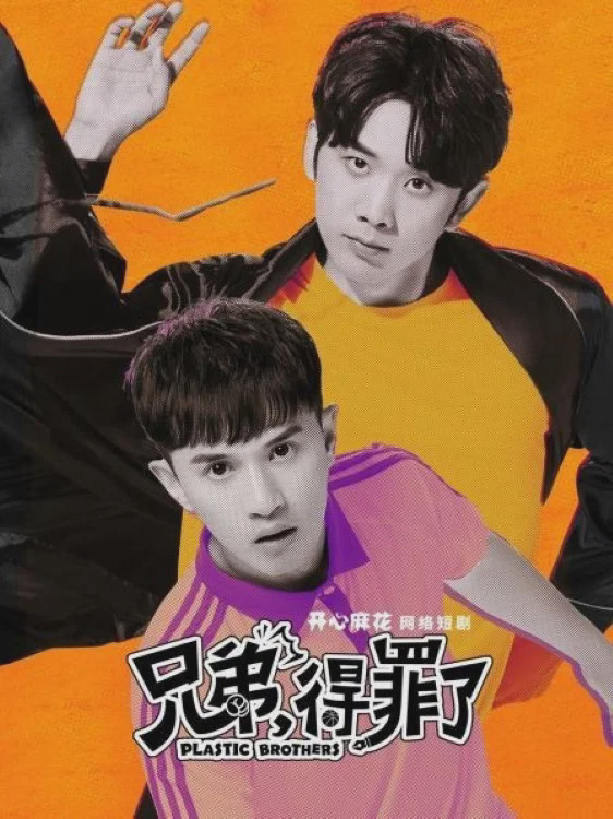 兄弟，得罪了