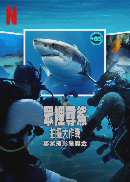 众里寻鲨:拍摄大作战