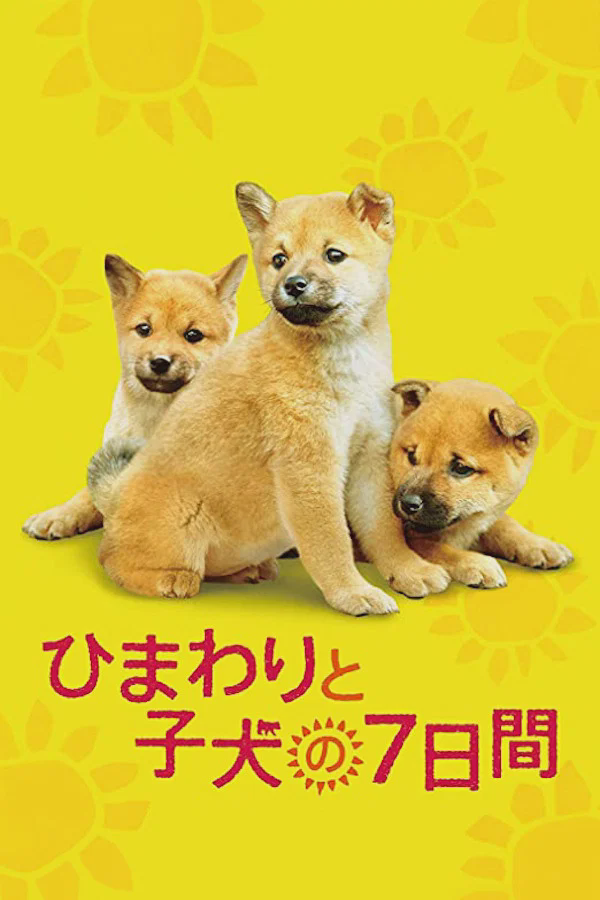 向日葵与幼犬的7天