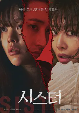 姐妹2026