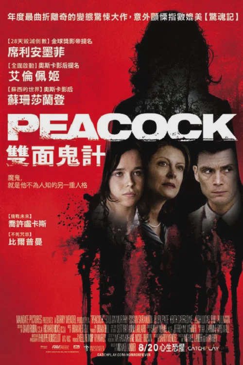 孔雀镇