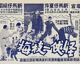 怪侠一枝梅